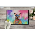 thumbnail image 4 of Carolines Treasures DAC2502MAT 0.15 x 18 x 27 in. Doberman Pinscher Hippie Dawg Doormat, 4 of 6