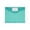 Green, variant on Niriyo 11-Hole Transparent Binder Pocket with Hook and Loop Closure, Expandable Plastic Folder for 2/3/4 Ring Binders, Document Organizer with Label Holder, Blue