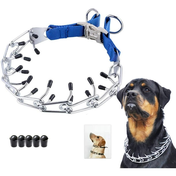 Dog Collar, Waterproof dog collar – Back Down South Clothing
