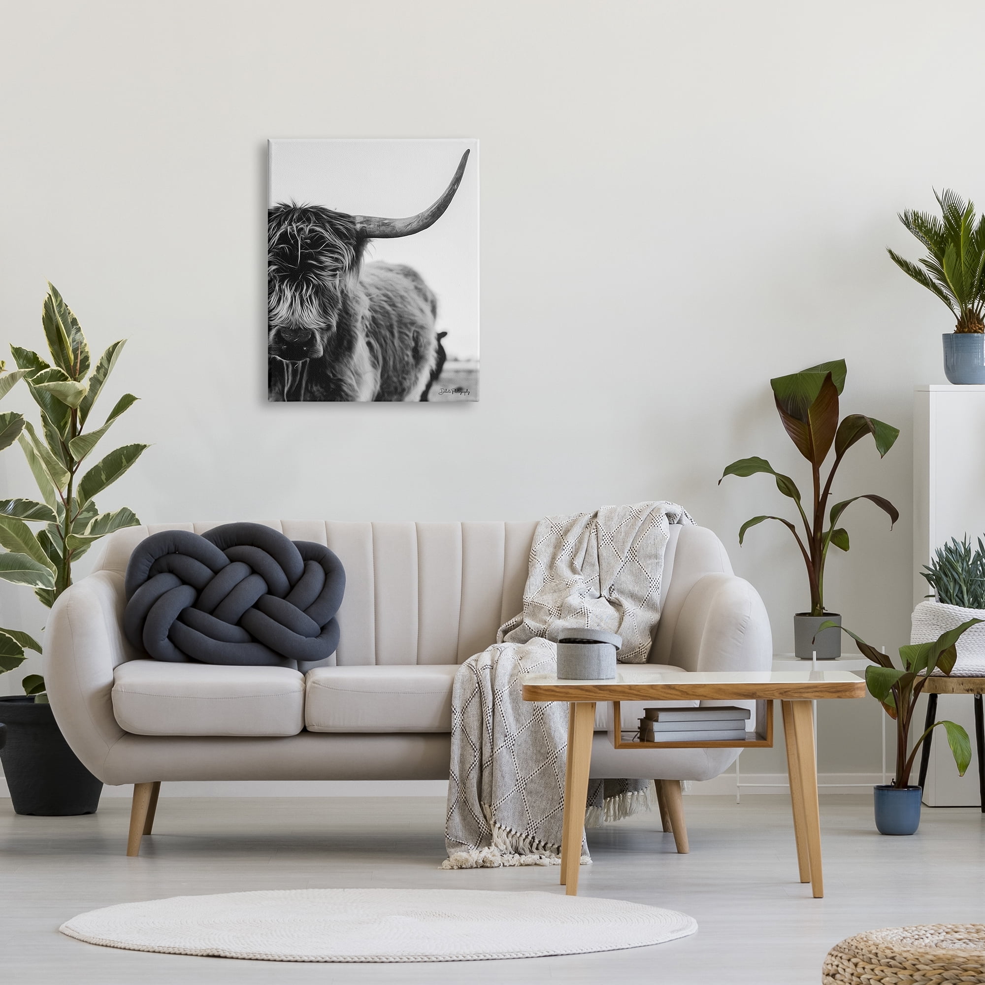 Stupell Industries Highland Cow Cattle Horn Close Up Serene Photography Photograph Gallery Wrapped Canvas Print Wall Art, Design by Dakota Diener