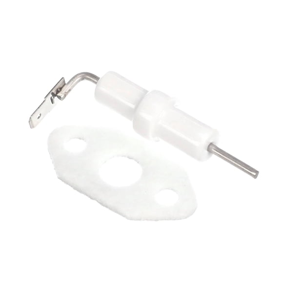 KIT, FLAME ROD & GASKET 204000012 - Genuine OEM Replacement Part