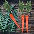 thumbnail image 7 of Artificial Mini Carrots, Lifelike Fake Carrot for Decoration Easter, Artificial Vegetable Simulation Mini Carrots DIY Crafts Decoration, 7 of 7