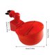 thumbnail image 2 of 2x 5x Dispensadores de agua automáticos para aves de corralDispensadores de agua automáticos para , comederos para loros de codorniz, bebederos, 2 of 9