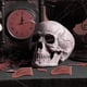 thumbnail image 4 of Paquete de 7 lenguas falsas de Halloween, lengua falsa, trucos de lengua horribles, juguetes para la lengua, trucos de utilería, juguetes para la lengua, lengua falsa realista, 4 of 5