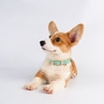 thumbnail image 2 of Collar De Perro De Cuero Para Perros Pequeños Y Medianos Collar De Cachorro Acolchado De Cuero Suave Y Transpirable Ajustable Con Hebilla De Aleación Collar Clásico Para Perros A Prueba De Agua ER, 2 of 5