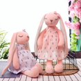 thumbnail image 2 of Juguetes de peluche de conejo de orejas largas Kawaii para niña muñeco de apaciguar juguete para dormir para bebé animales de peluche suaves juguetes para bebé, 2 of 5