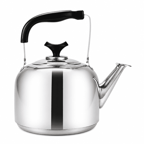 RAIRSKY Stainless Steel Whistling Tea Kettle 5L