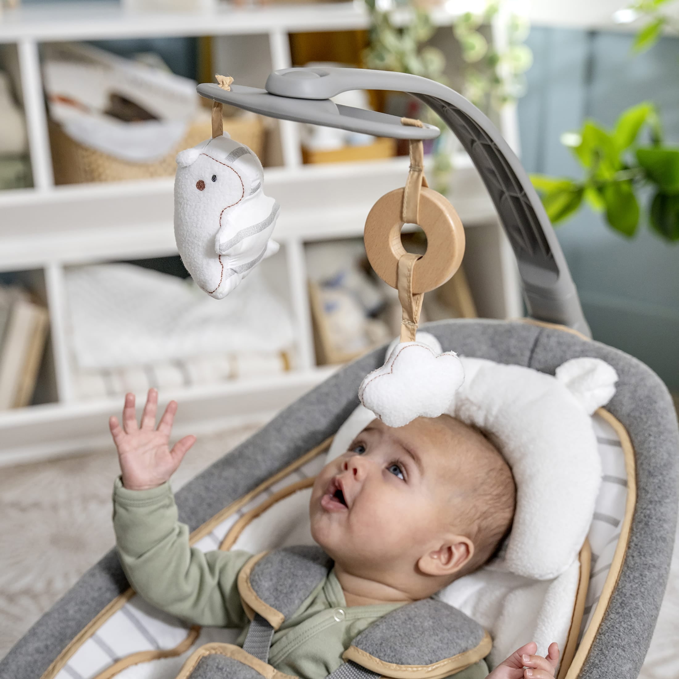 Ingenuity Boutique Collection Bella Teddy Vibrating Rocking Seat with Premium Fabric, Unisex, Ages Newborn and Up