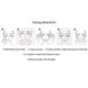 thumbnail image 4 of Mascarillas faciales moldeadoras de línea en V – Mascarilla reafirmante de colágeno con hidrogel – Banda antienvejecimiento y antiarrugas – Banda reductora de papada – Lámina reafirmante, adelgazante, 4 of 5