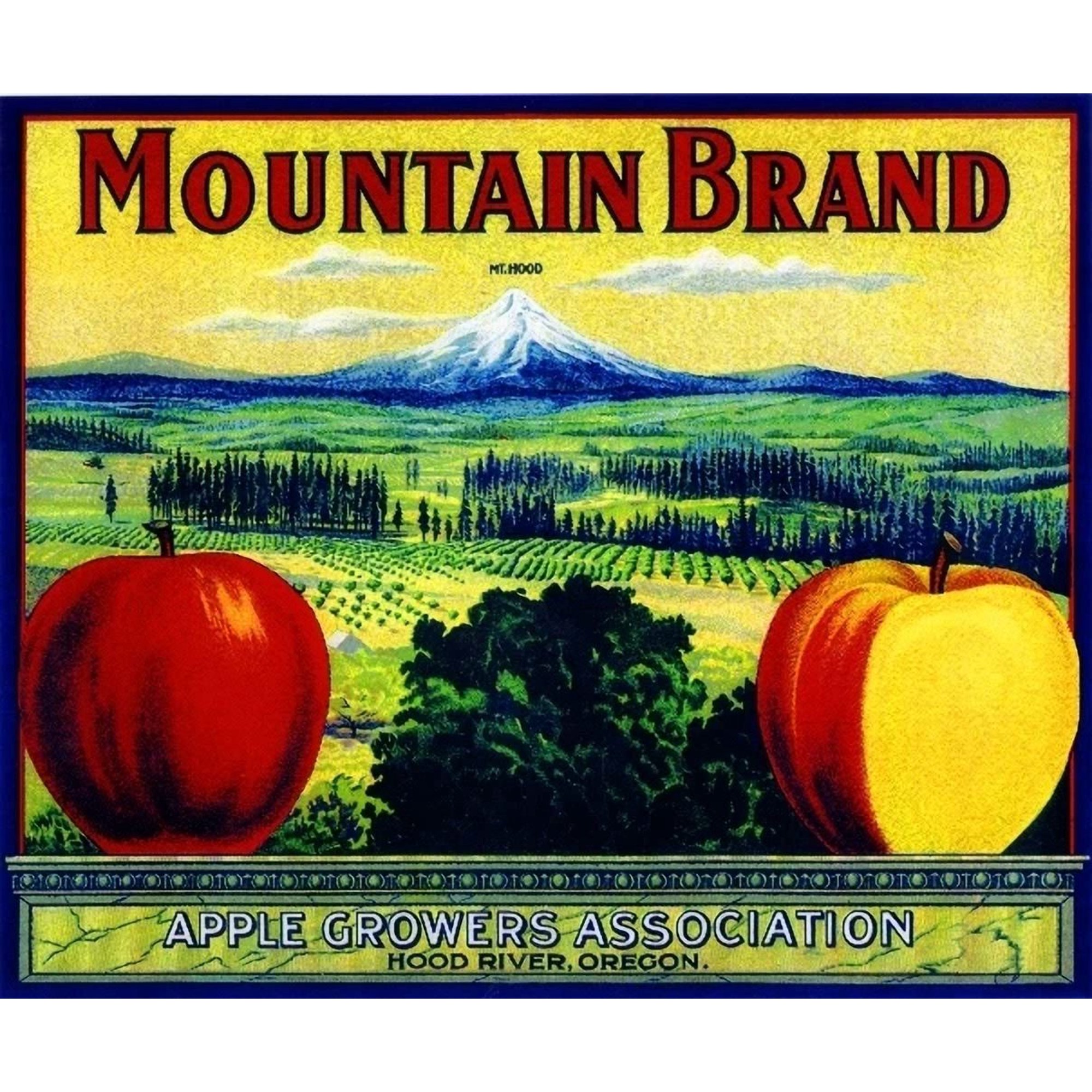 Hood River Mountain Apple Office Poster , Poster Print Only