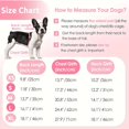 thumbnail image 2 of PEACNNG CozyFit Fleece Winter Dog Coat - Warm  Windproof  Reflective  Zipper  Leash Ring  and Leg Coverage for Small Dogs - Perfect for Snowy Weather and Outdoor Adventures, 2 of 6