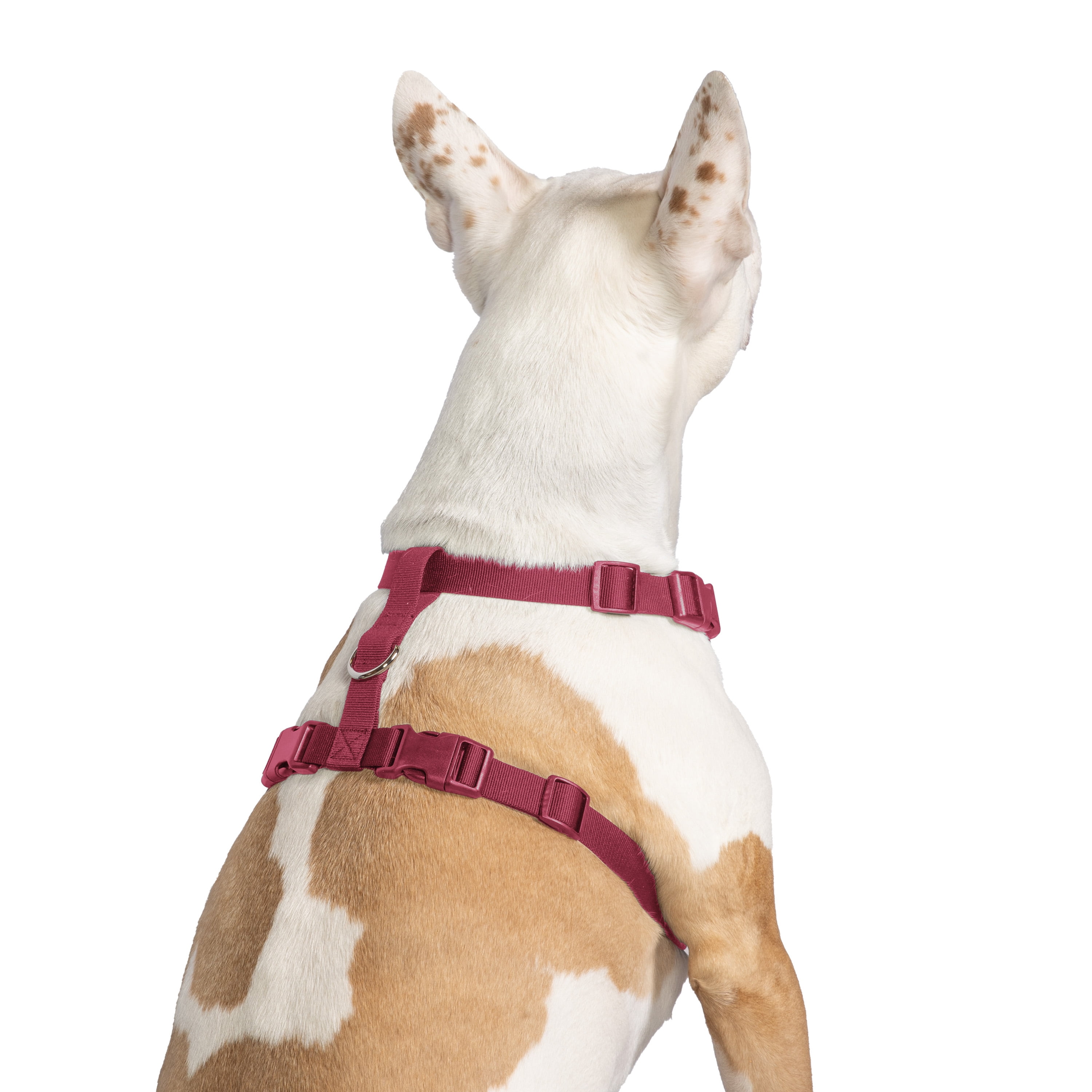 Vibrant Life Polyester Mesh Adjustable and Reflective Dog Walking Harness, Red, L