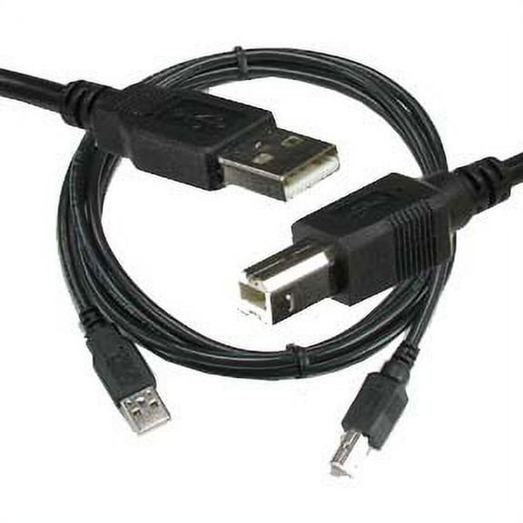 ACCL 6Ft A-Male to B-Male USB2.0 Cable Black, 1 Pack