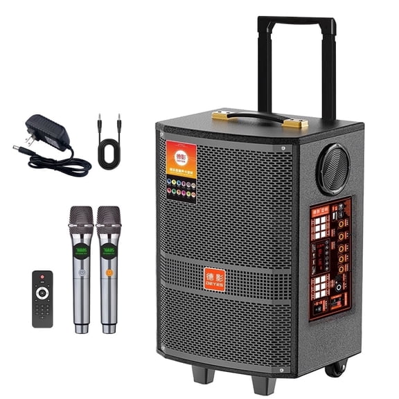 Deyes-Q9Professional Karaoke Party Speaker Pull Rod Shock Large Body 8-inch High-power Multi-functional Portable Outdoor Speaker