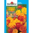 thumbnail image 1 of Burpee Bright Lights Mixed Colours Cosmos, Plant Seeds for Home Garden, 1 of 5