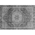 thumbnail image 1 of Ahgly Company Indoor Rectangle Persian Gray Traditional Area Rugs, 2' x 3', 1 of 4