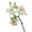 G, variant on O'Creme Gumpaste Flower Spray, Alstroemeria - Edible Flowers for Cake Decorating - Sugar Paste Flower Decorations for Cakes, Candy, Cupcake Toppers - Birthday Party, Wedding, Valentines Day