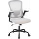 thumbnail image 2 of Historyli Silla ergonómica giratoria de oficina,respaldo medio de malla,altura ajustable,brazos abatibles y soporte lumbar,color negro y gris., 2 of 7