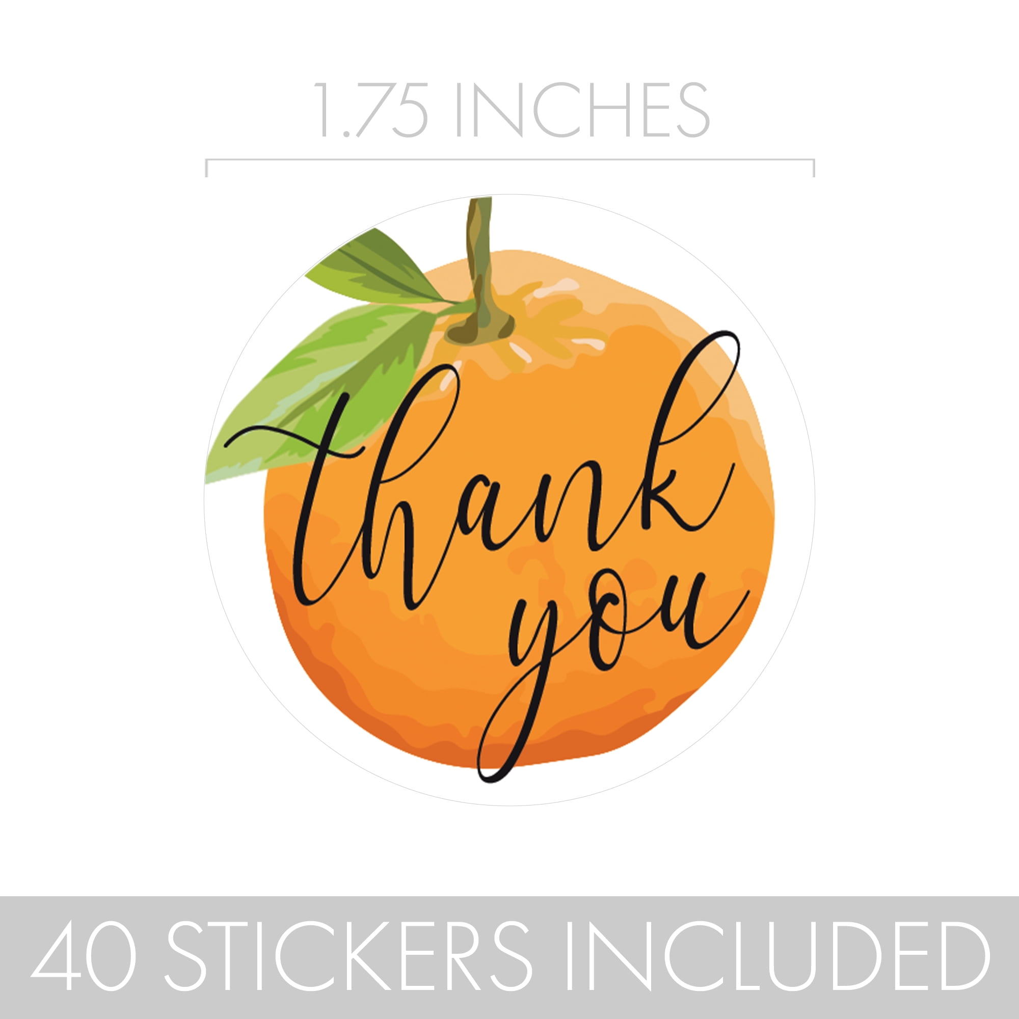 Distinctivs Orange Little Cutie Thank You Stickers or Envelope