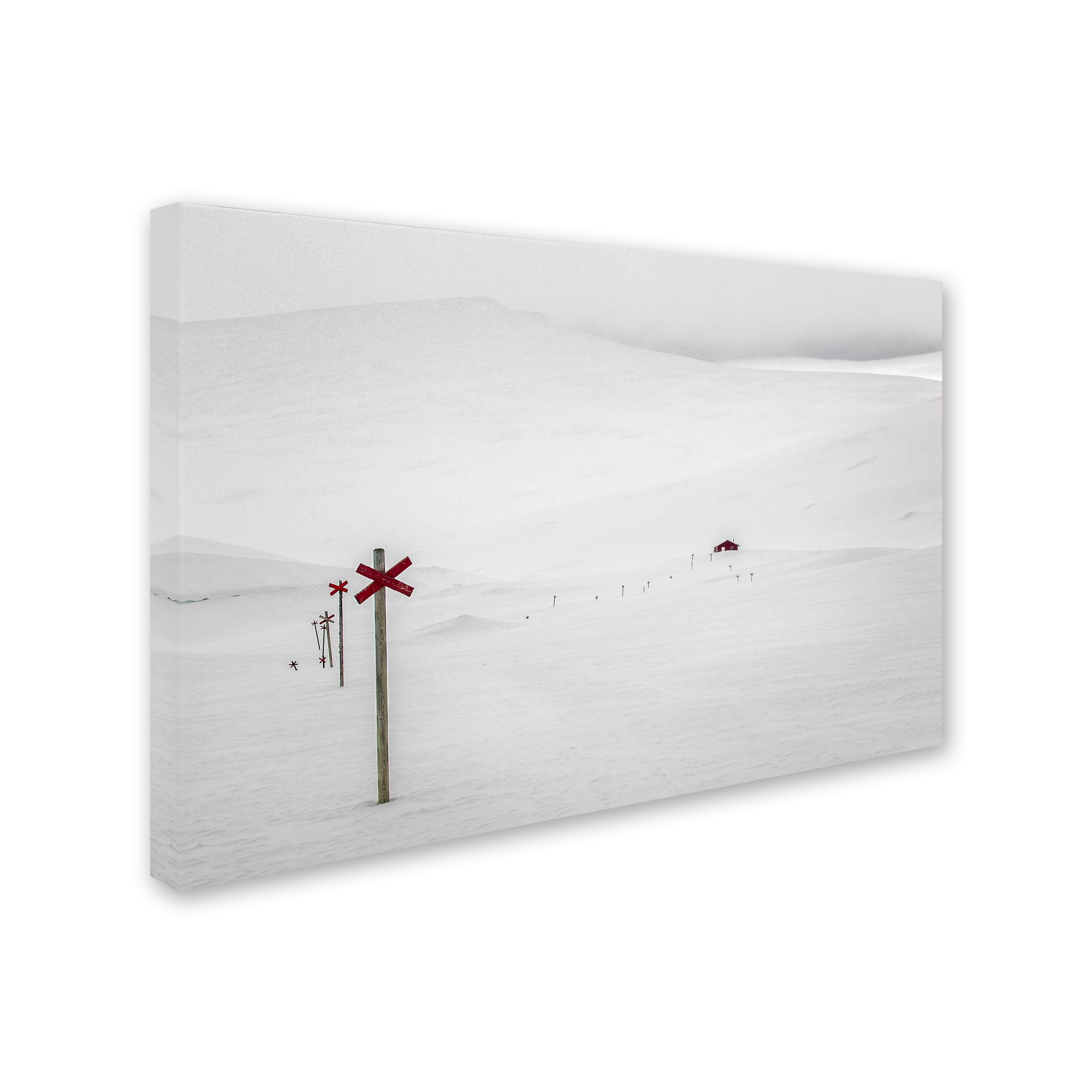 Trademark Fine Art 'The Track' Canvas Art by Eva Martensson