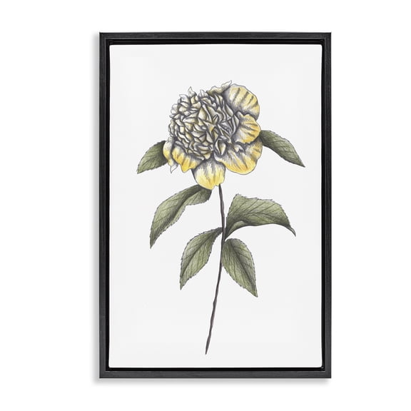 Camellia Flower Illustration Black Framed Floater Canvas Wall Art, design by Cecilia Battaini