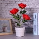 thumbnail image 4 of Lámpara de Rosa LED de Flor de Simulación ANGGREK para Decoración Del Hogar y Jardín, 4 of 7