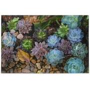 Assorted Color Succulent Flowers Puzzles Wooden Jigsaw Puzzles 500 Pieces for Adults, Fun Challenging Brain Exercise Family Game Creative Gift for Friends Parents Grandparents