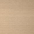 thumbnail image 1 of Ahgly Company Indoor Square Contemporary Sandy Brown Solid Area Rugs, 3' Square, 1 of 6