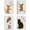 Mixed Color, variant on 4 Pcs Cat Butterfly Stencil 11.7x8.3 inch A4 Size Cat Playing Ball of Yarn Stencil Reusable Large Vinyl Template for Painting on Wood Fabric Wall Furniture Card Making Home Decor DIY