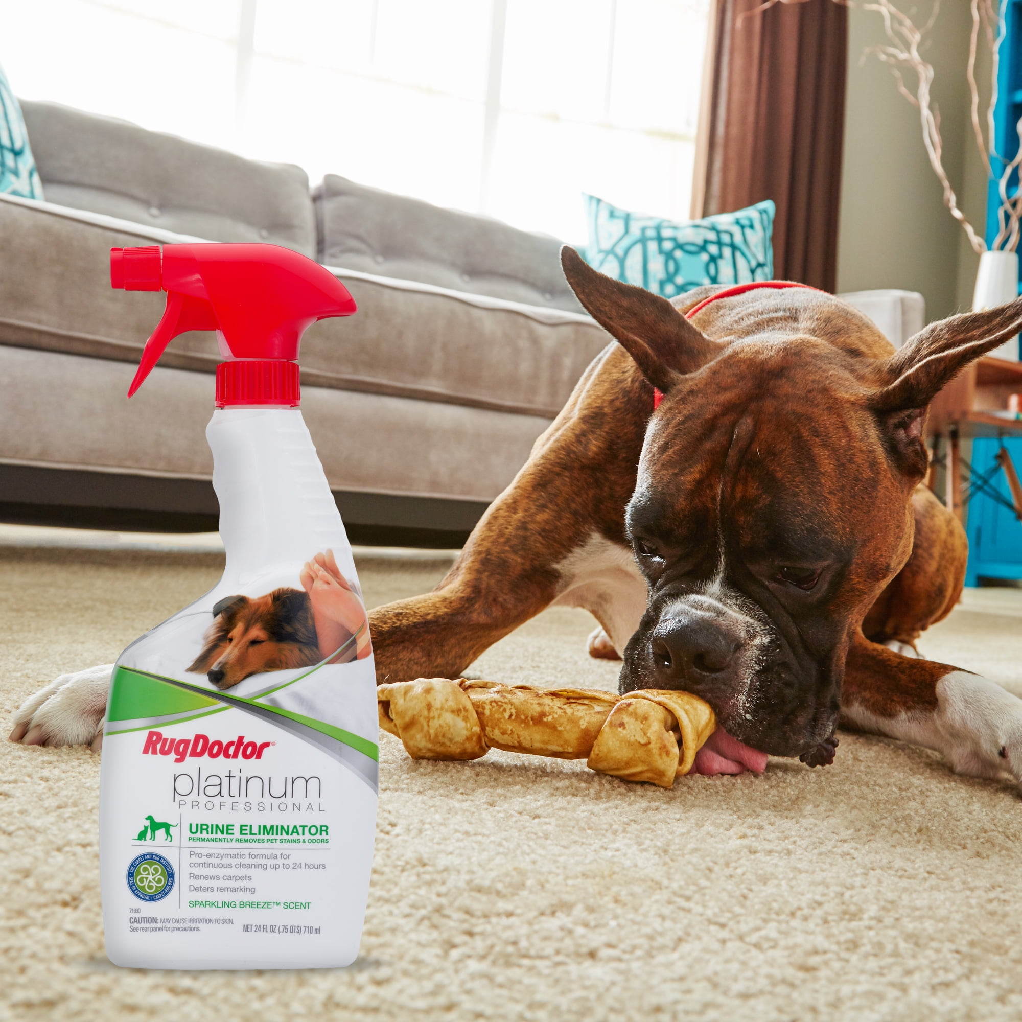 Rug Doctor Platinum Urine Eliminator Carpet And Soft Surface Rug Doctor Platinum Urine Eliminator