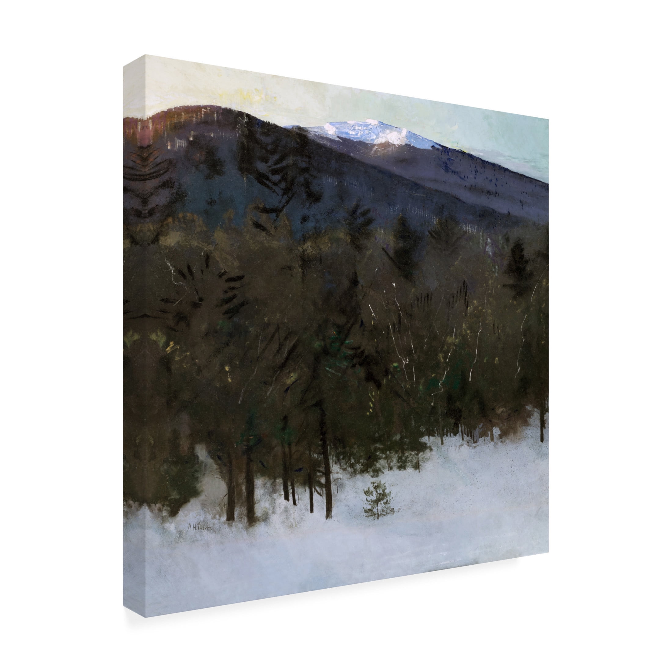 Trademark Fine Art Abbott Handerson Thayer Thayer Mountains II Canvas Wall Art