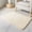 Beige, variant on Sleep Zone 2x3 Ultra-Soft Plush Area Rug Beige, Non-Slip Fuzzy Rug for Entryway Bedroom