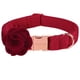 thumbnail image 1 of Collar para perro Aring Pet L Red Velvet Soft con flor, 1 of 6