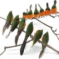 thumbnail image 6 of Desktop Ornament,Very Cute Artificial Bird Christmas Tree Decoration Craft 12 Pcs ( Bird) Garden Garden Cotton Bird Decorative Crafts Ornaments, 6 of 9