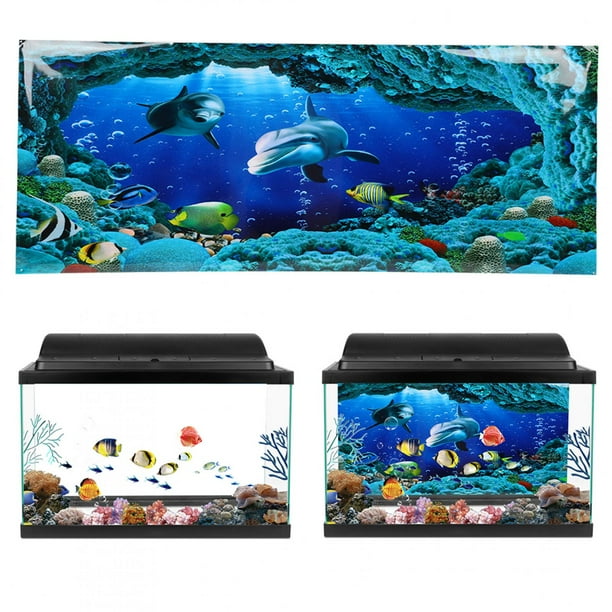 Fondo de Acuario, Sea World Publicings Cartel Decorativo Reptil Fuente de Fondo Terrario Terrario PVC LaterApación para Acuariu
