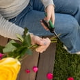 thumbnail image 6 of Expert Gardener Snipping Shea, 6 of 15