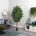 thumbnail image 4 of 6' Smilax Tree, 4 of 4