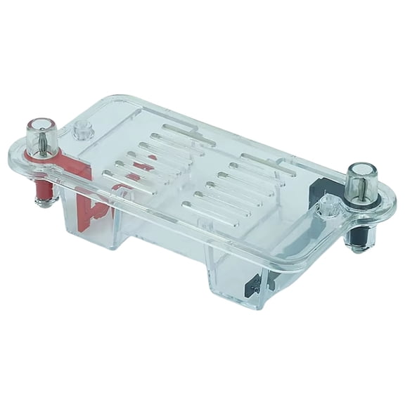 Light Weight Horizontal Electrophoresis Chamber for School Biology Lab Experiments Teaching Apparatus