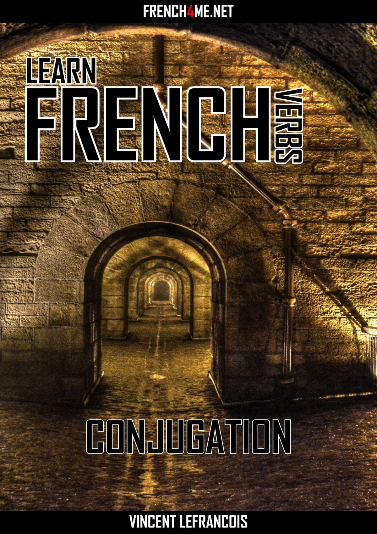 Learn French Verbs Conjugation EBook Walmart Walmart