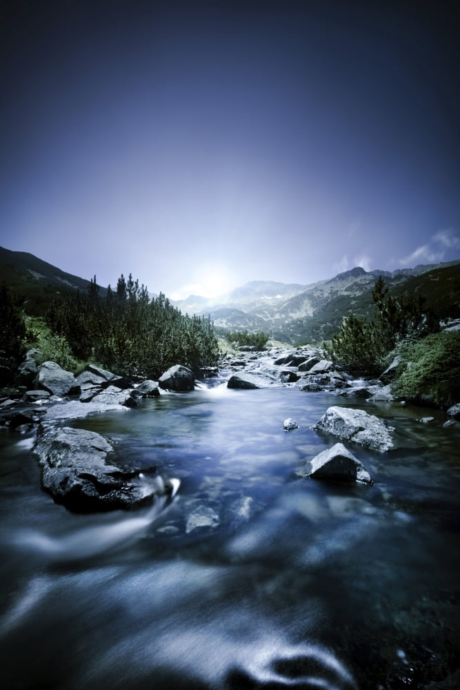 Small river flowing through the mountains of Pirin National Park Bulgaria Canvas Art - Evgeny KuklevStocktrek Images (23 x 35)