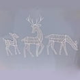 thumbnail image 2 of WINDLAND Light Up Reindeers Outdoor Christmas Decorations Battery Powered for Garden Yard, 2 of 16