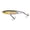 Real Golden Shiner, variant on Yo-Zuri R1101 RGSN 3Db Popper (F)