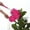 Pink, variant on Extendable Feather Duster with Telescoping Pole, Bendable Microfiber Dusting Tool for High Ceiling Fans, Washable Reusable Duster for Furniture and Hard to Reach Areas