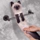 thumbnail image 5 of Toallas absorbentes con forma de gato, toalla de animales lindos, toallas de mano para cocina y baño (gato siamés) JAMW Sencillez, 5 of 5