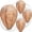 Brown, variant on Fake Wasp Nest 4 Pack, Upgraded Waterproof Yellow Wasp Nest Decoy for Outdoor Hanging, Realistic Artificial Hornet Nests for Patio, Porch, Garden, Backyard, Eaves