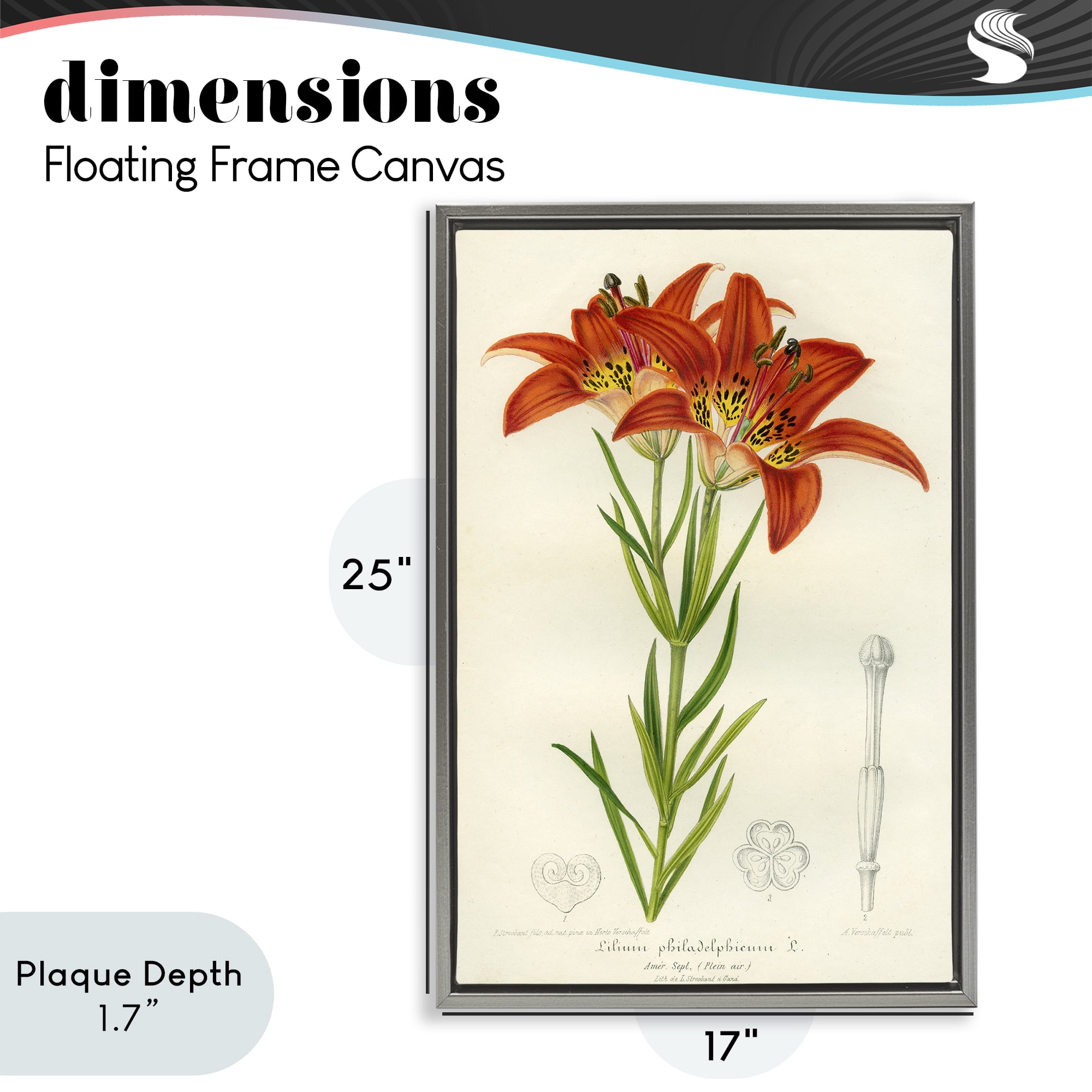 Stupell Industries Western Red Lily Gray Framed Floater Canvas Wall Art, design by Print Collection