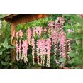 thumbnail image 3 of Coolmade 3.6 Feet Artificial Silk Wisteria Vine Ratta Silk Hanging Flower Wedding Decor,6 Pieces, 3 of 8