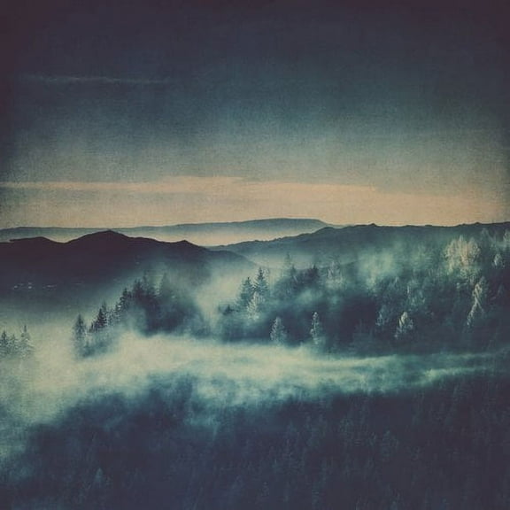 Marmont Hill "Morning Fog" by Ingrid Beddoes Painting Print on Wrapped Canvas