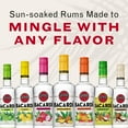 thumbnail image 6 of BACARDI Mango Chile Rum, Gluten Free - 750 mL Bottle, 6 of 7