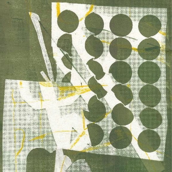 Zander Raymond - To Have Several Lives - Music & Performance - Vinyl